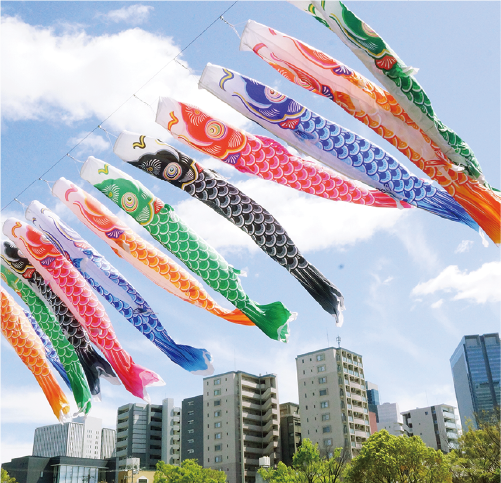 Carp streamers