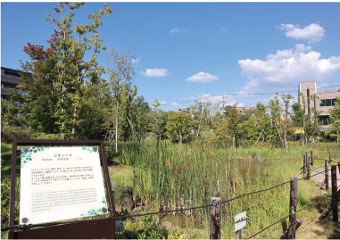 Noritake Garden (Biotope)